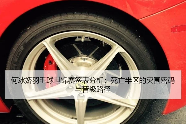 he-bing-jiao-yu-mao-qiu-shi-jin-sai-qian-biao-fen-xi-si-wang-ban-qu-de-tu-wei-mi-ma-yu-jin-ji-lu-jing-3-162.jpg